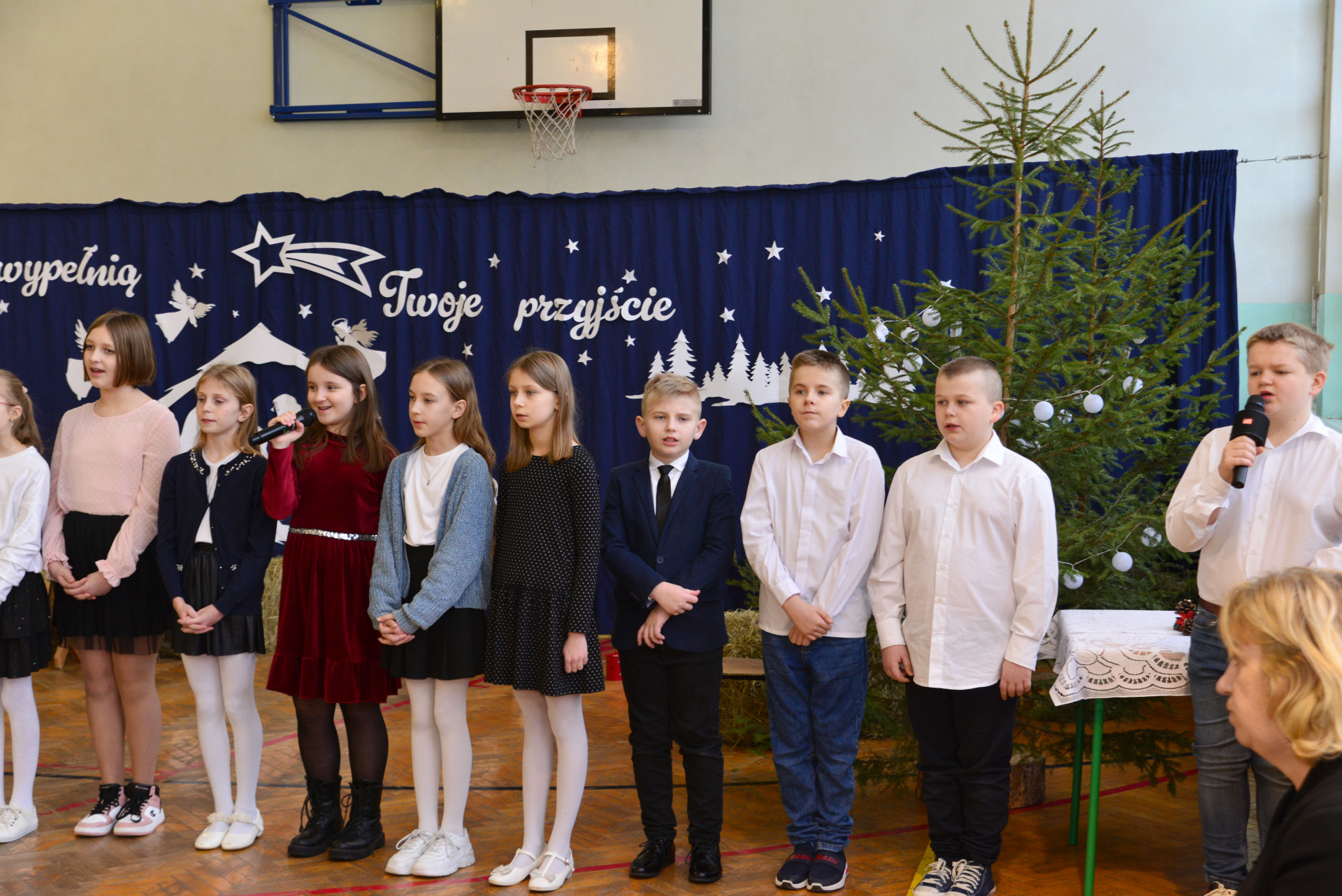 Hdimgf7377822b565191e13648de9db98d4