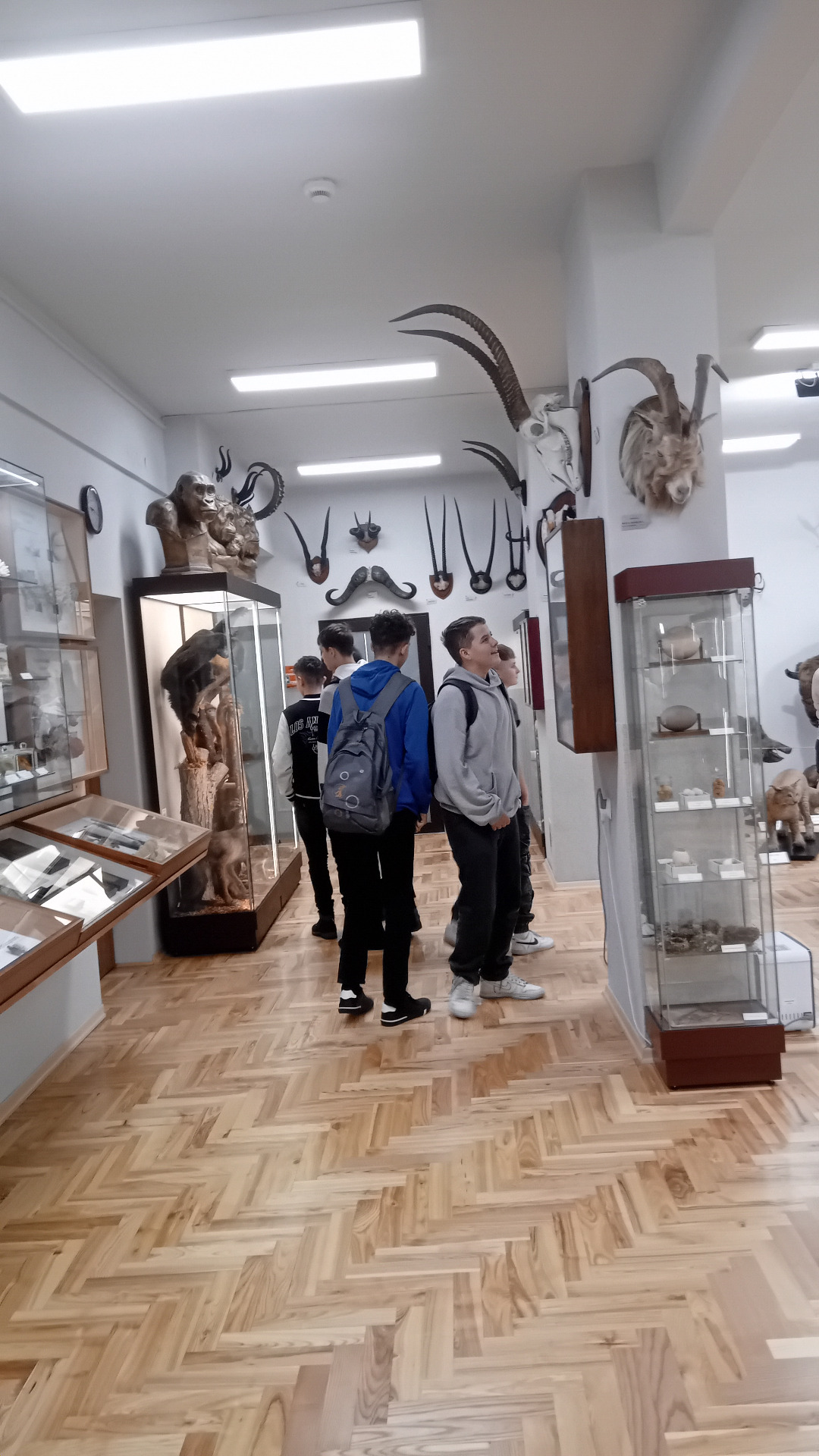 Hdimg8eb761047fe5811ecfa950078118a6