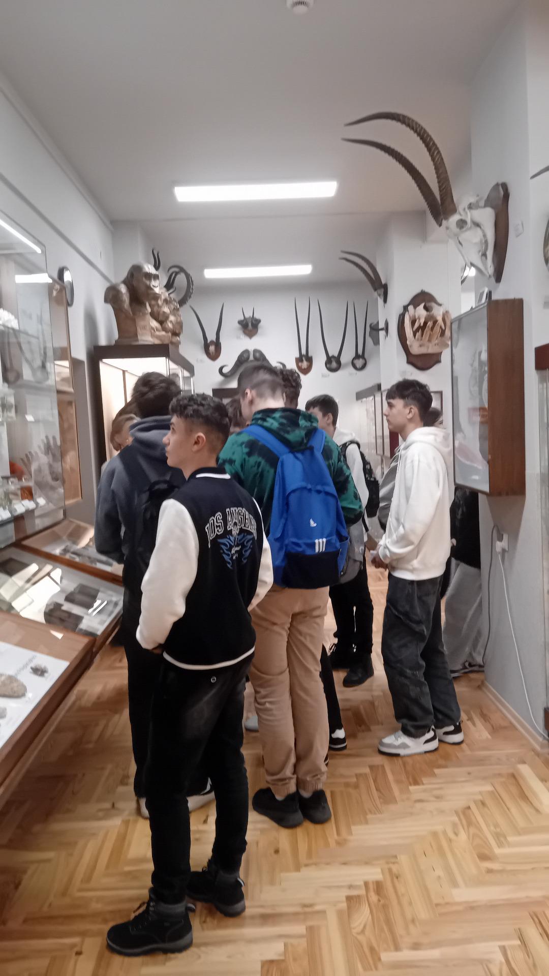 Hdimg972ceef42703d1f5aa8cce020233c4