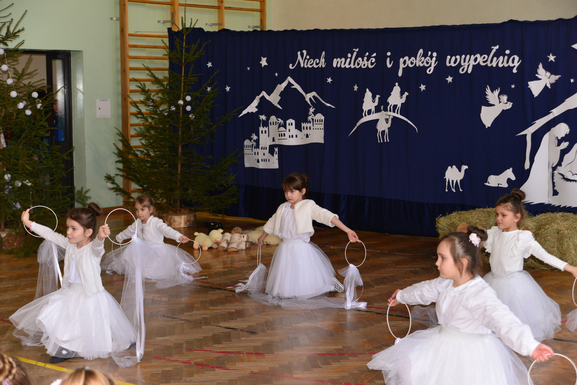 Hdimg65566b74e185f8f7541ee6ae0dfa29